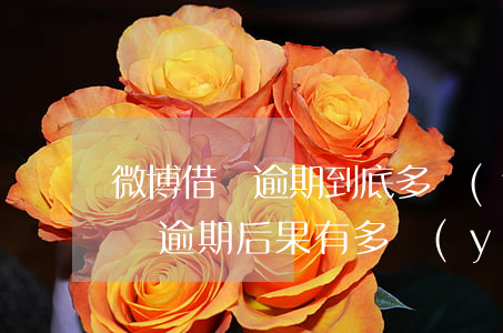 微博借錢逾期到底多嚴(yán)重，微博借錢逾期：后果有多嚴(yán)重？